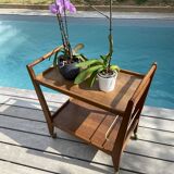 Scandinavian vintage teak dessert