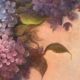 The Hydrangeas