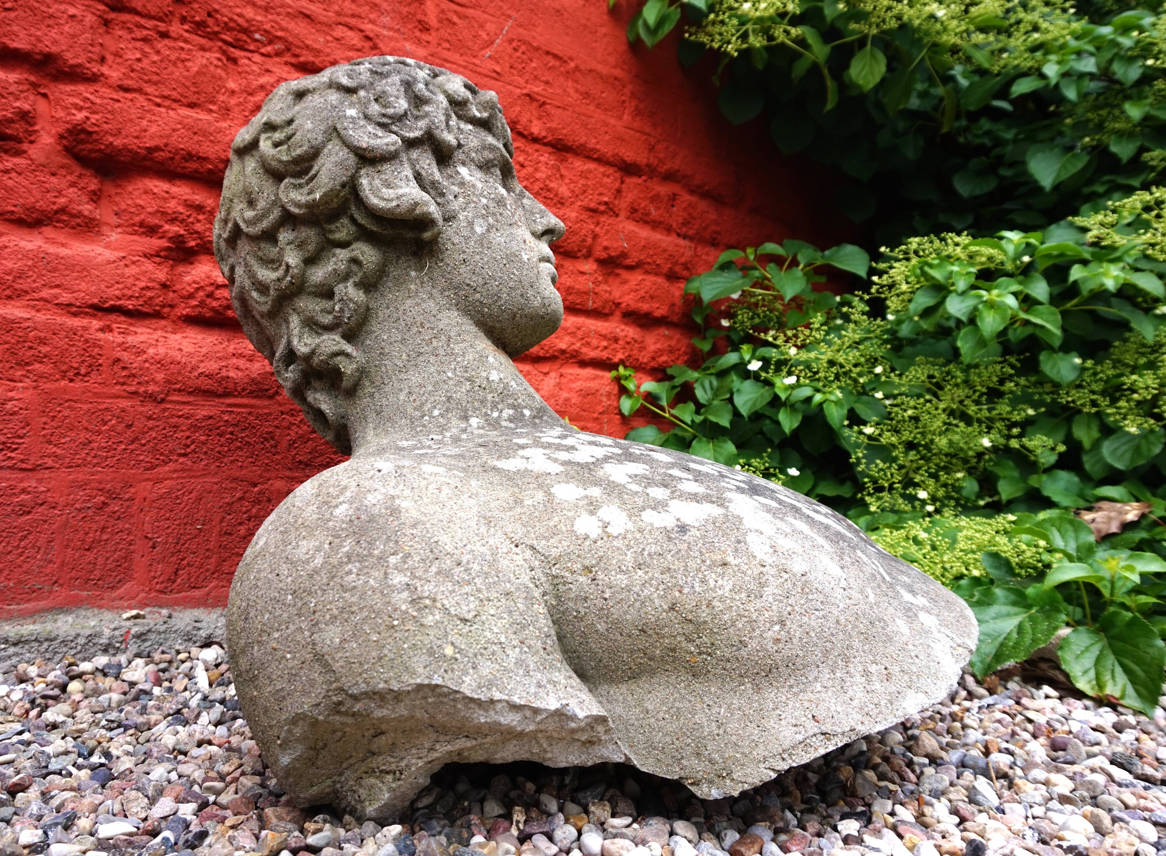Weathered garden sculpture David concrete bust