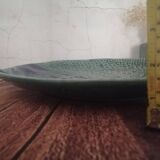 Plat poisson barbontine vert et bleu