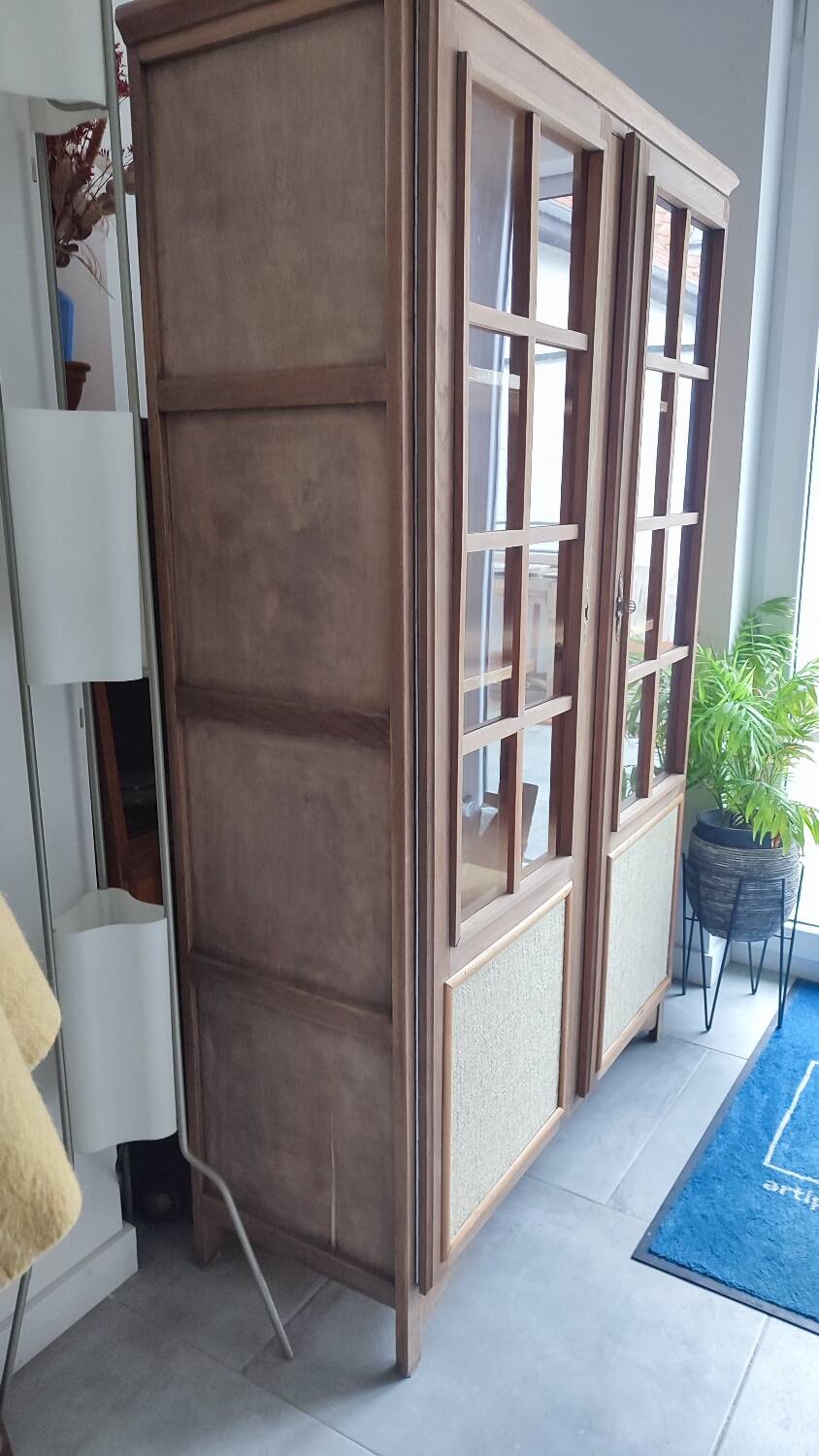 Parisian cabinet display case