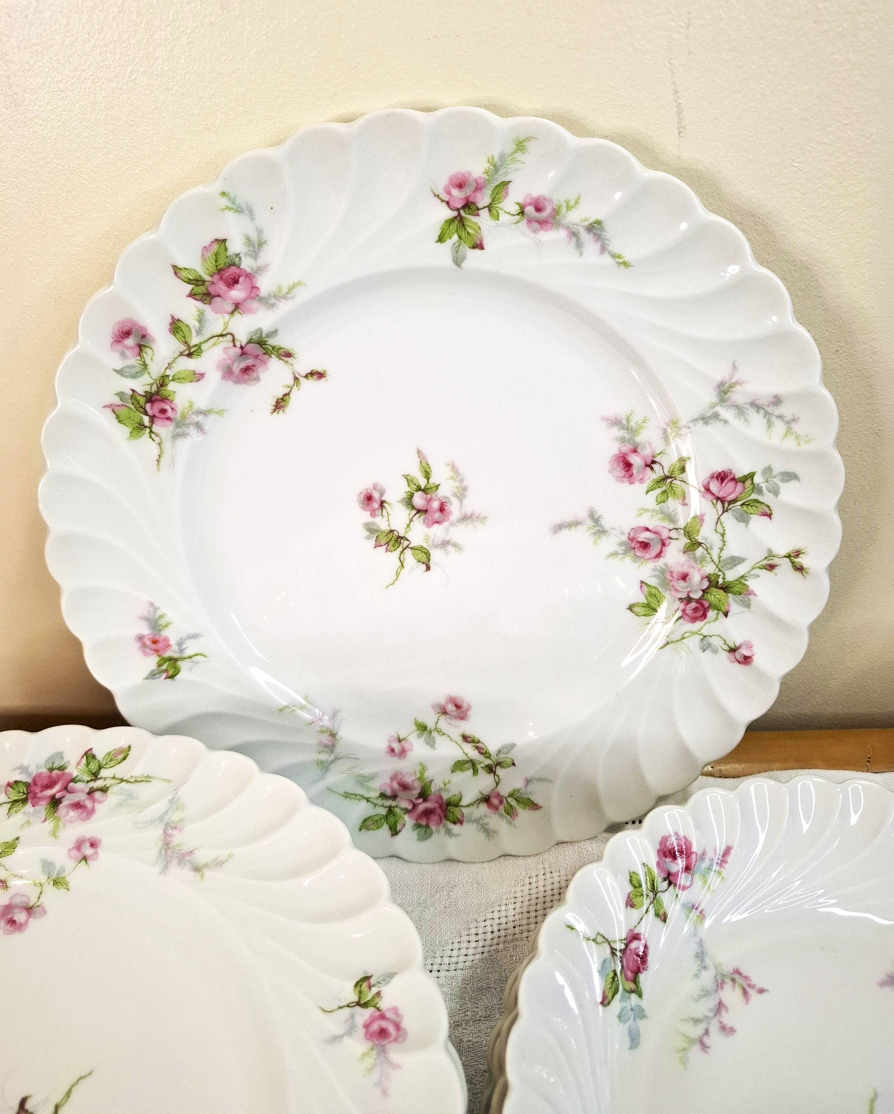 Haviland Limoges porcelain plates