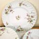 Haviland Limoges porcelain plates