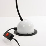 80 halogen desk lamp s