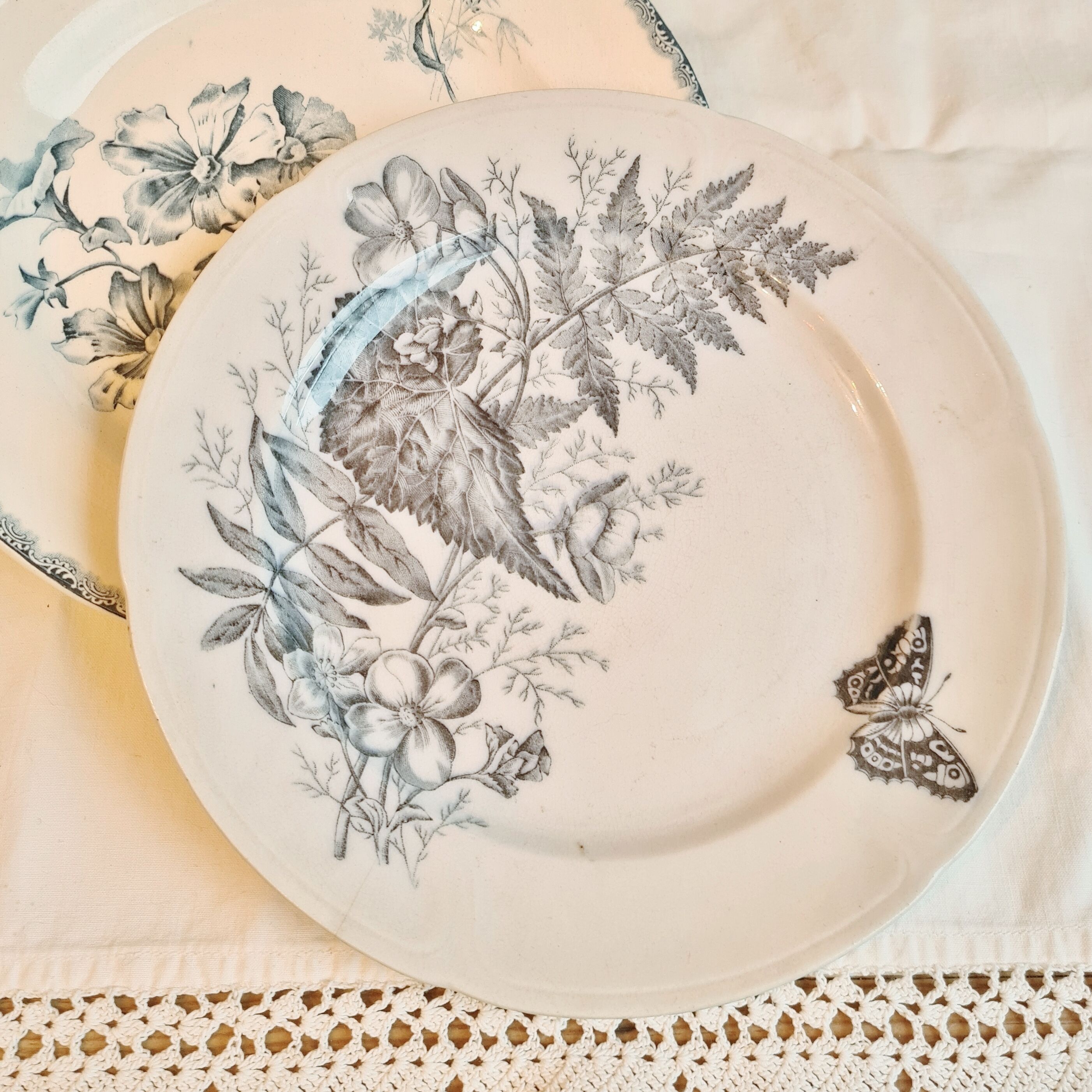 Rare plate iron earth sandeman mc dougall model fern (fern)