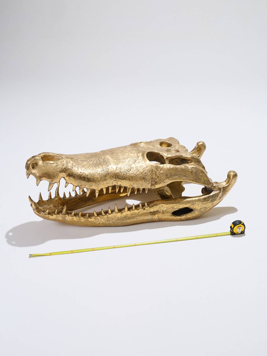 Large brass crocodile head