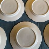 Set of green plates of water