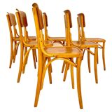 Mid Century Modern Dining Room Zebra Wood Chairs, set of six, Italy 1950s