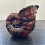 Vase coquillage