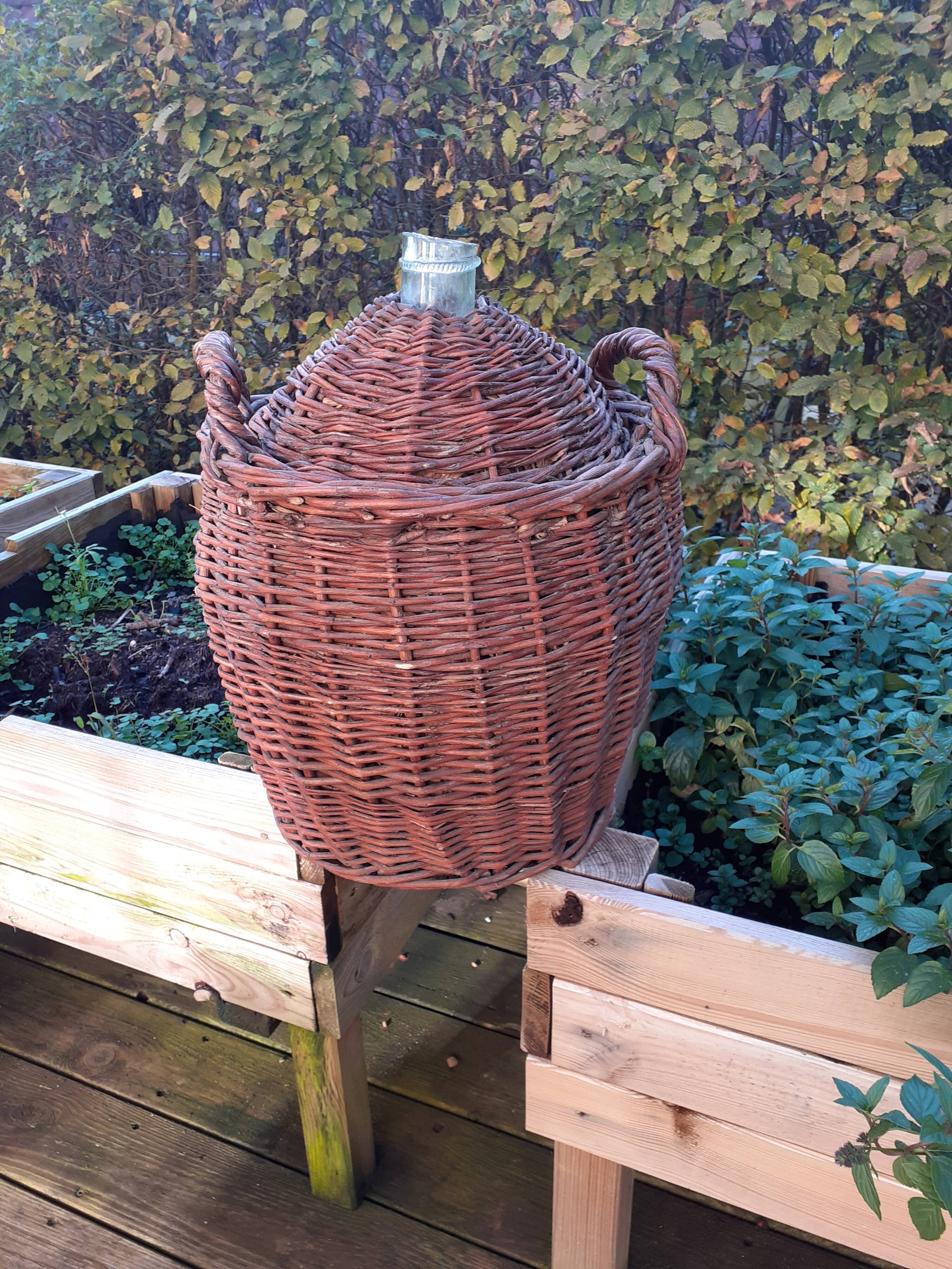 Dame Jeanne 10 liters