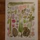 Set of 3 original lithographs on fish, algae and oceanography