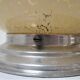 Glass Art Deco glass cap of Clichy ball your vanilla 30s