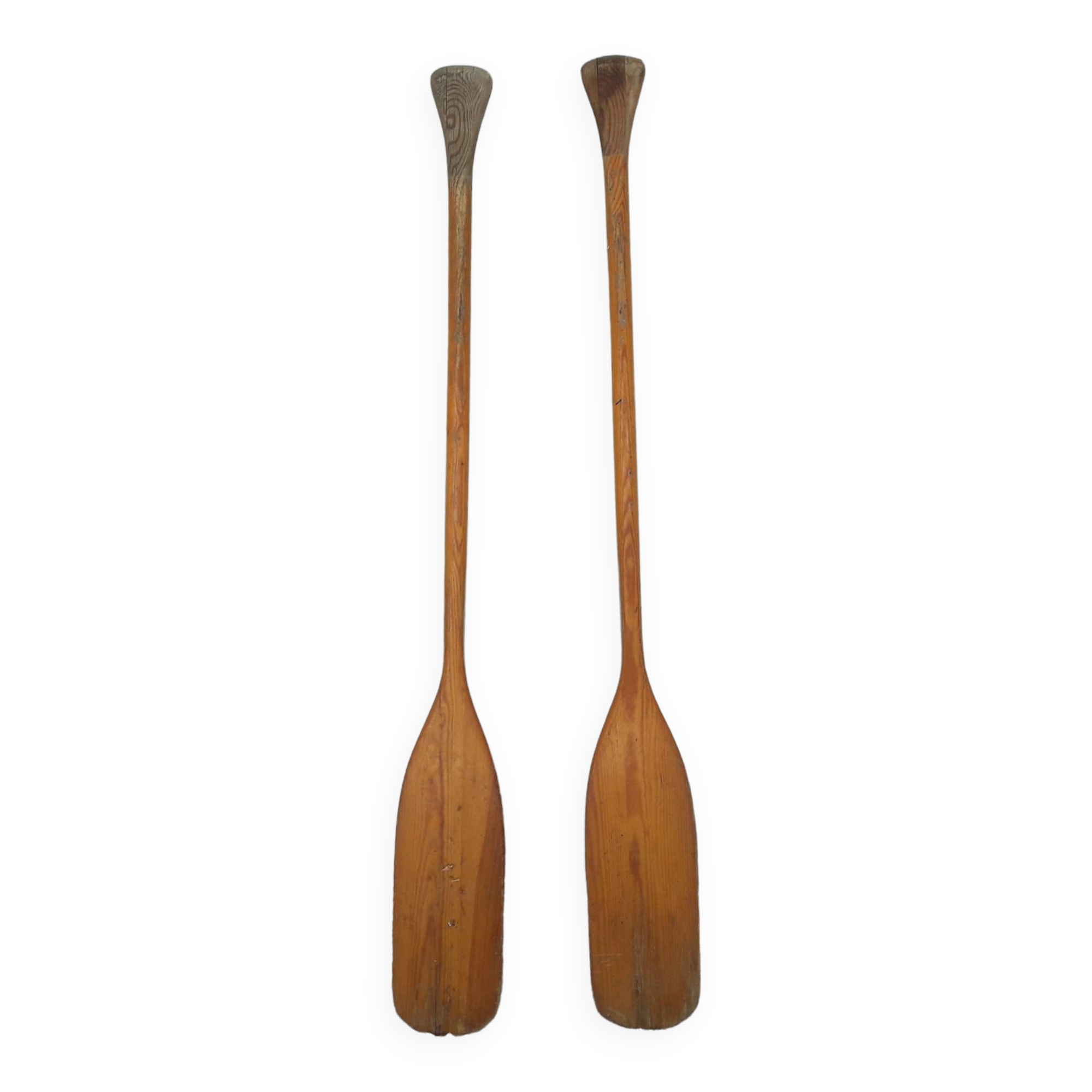 Two paddles
