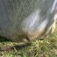 Baignoire en zinc ancienne