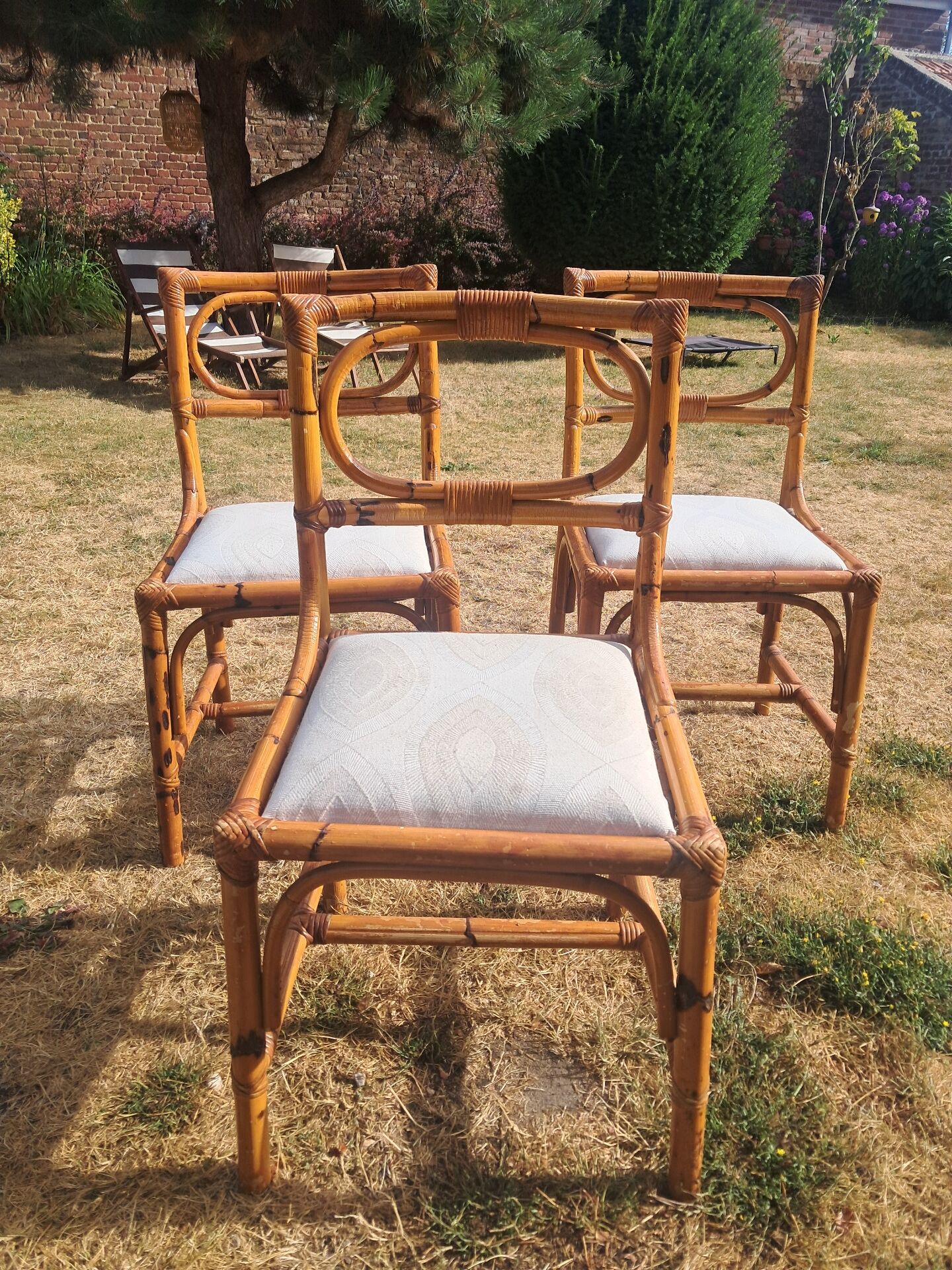 3 chaises en rotin