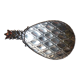 Pineapple pocket emptier
