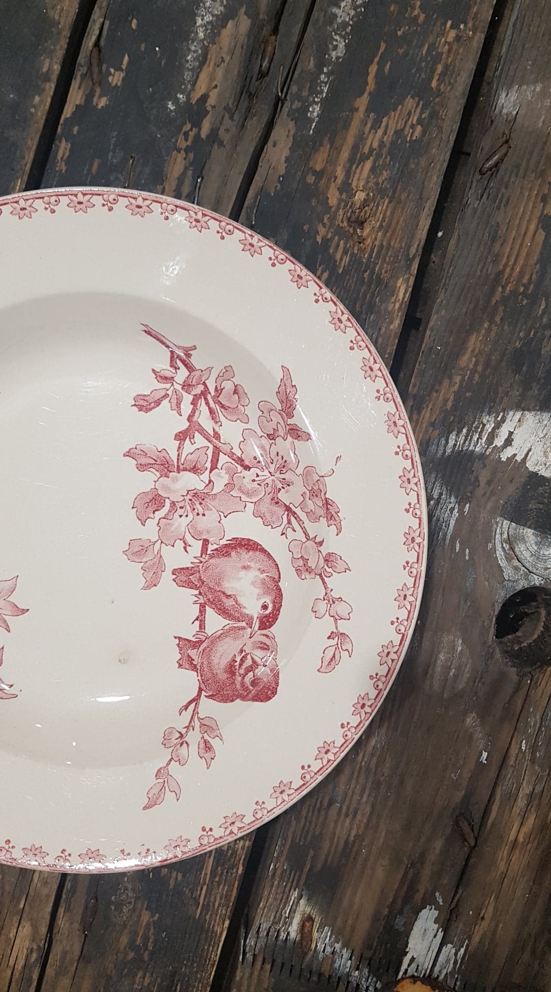 Plate Sarreguemines model Favorite