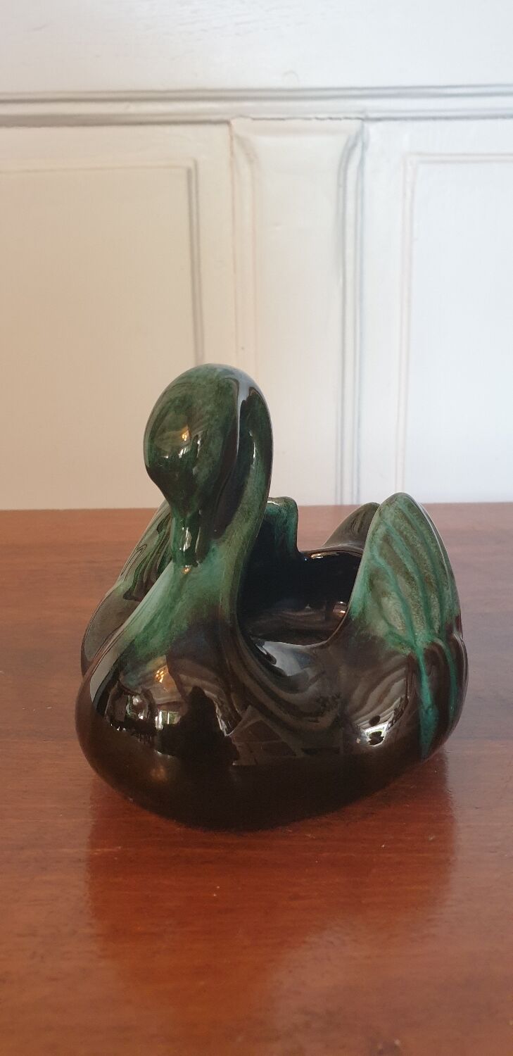 Empty pocket swan canada