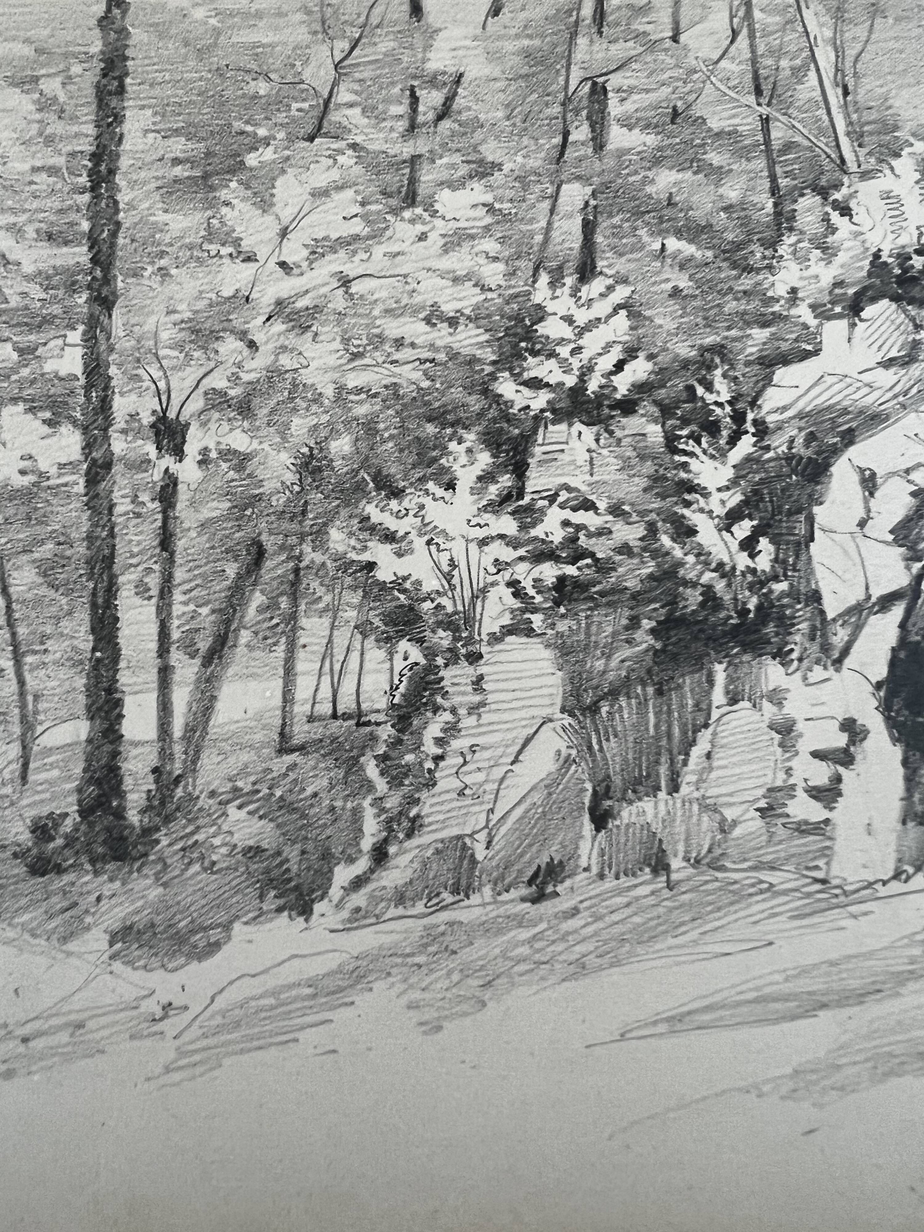Landscape drawing: in the Forest of Asnières - 49