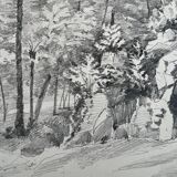 Landscape drawing: in the Forest of Asnières - 49