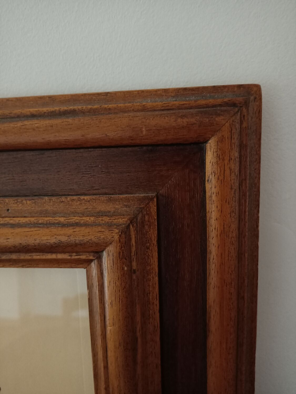 Hibiscus frame