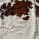 Cowhide carpet white and brown 1970 230 x 219