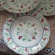 6 Digoin and Sarreguemines soup plates