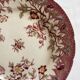 Plate Sarreguemines Minton