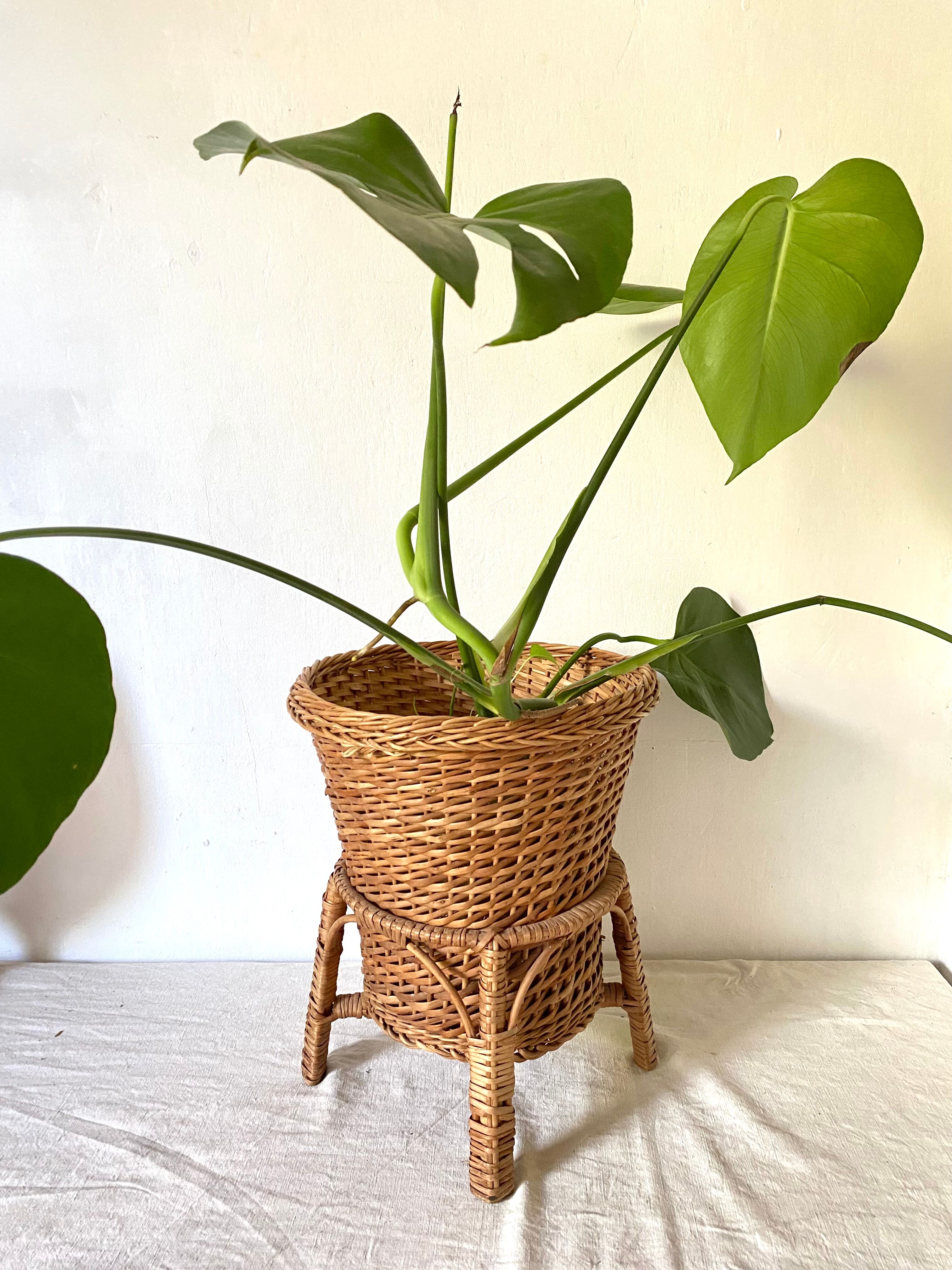 Plant holder, rattan pot cover