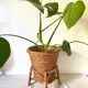 Plant holder, rattan pot cover