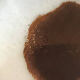 Vallauris dinner plate