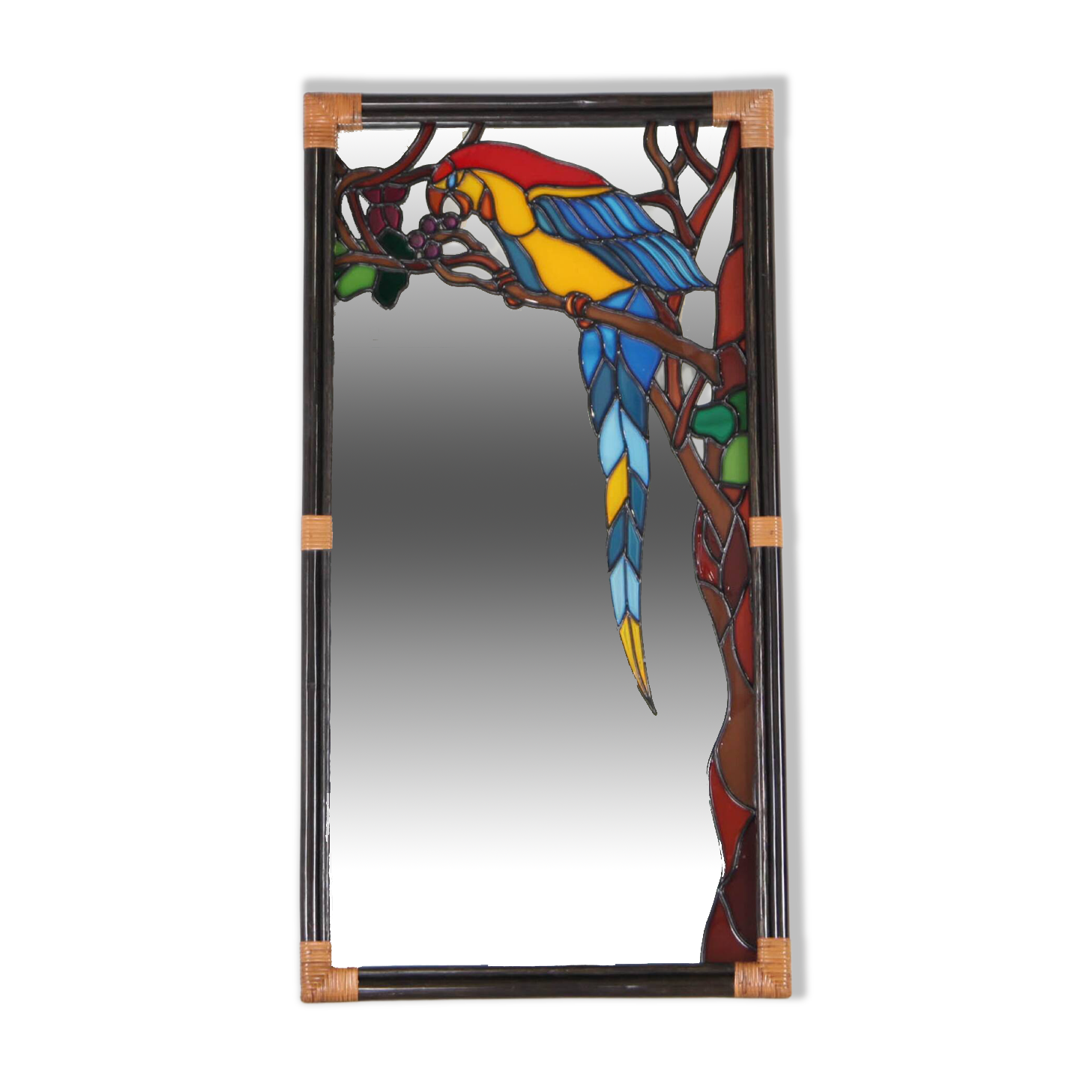 Parrot mirror