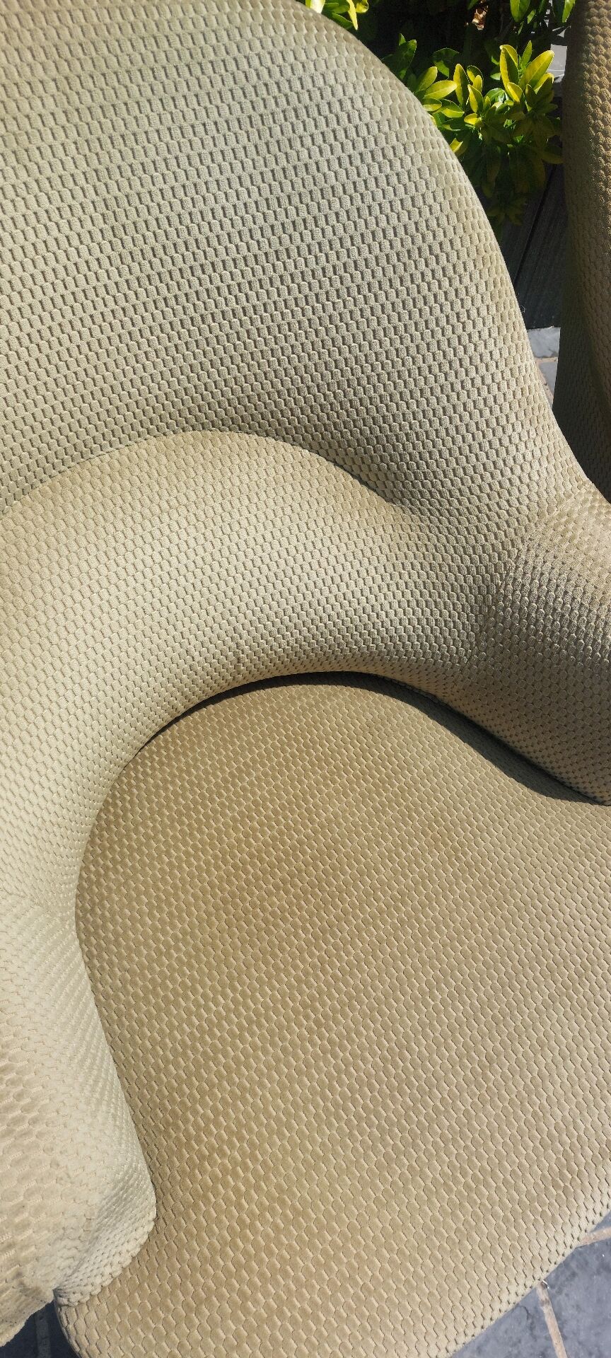 Frog chairs