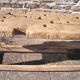 Old established 2.50m