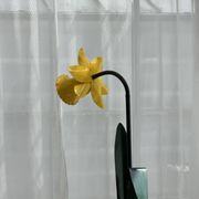 Mike Bliss Daffodil Pop Art Collectible Floorlamp for Bliss Flights of