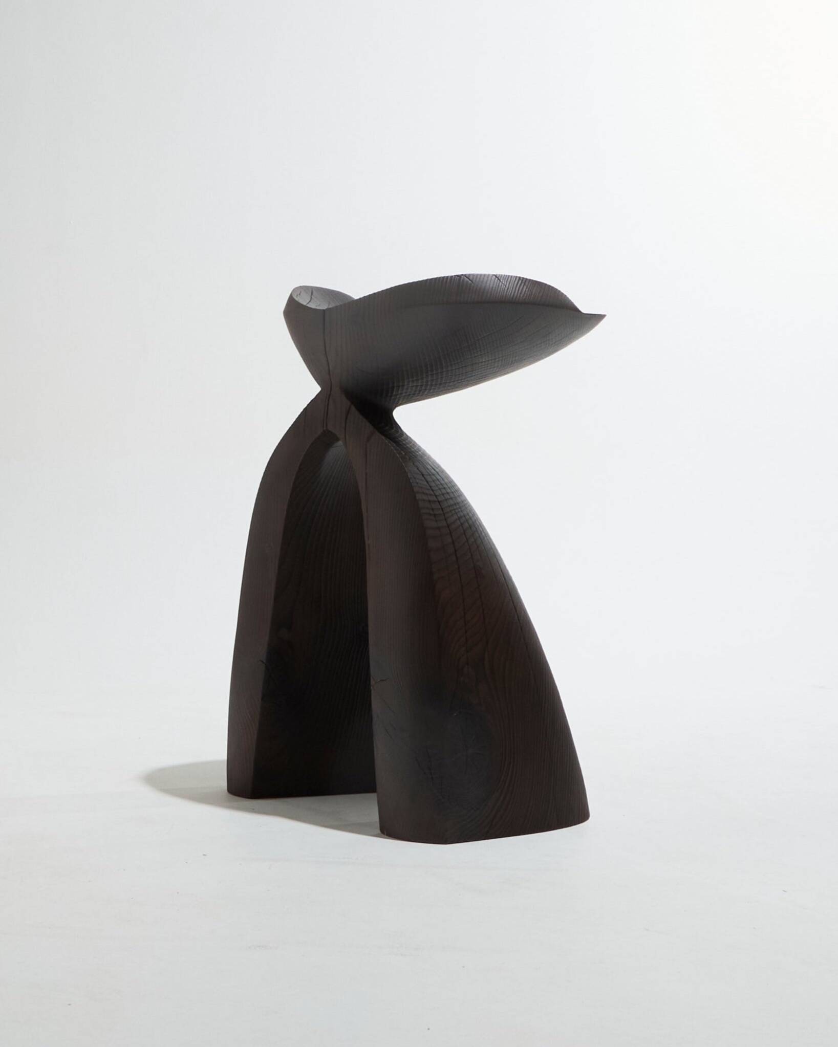 Guéridon Agalychmis en bois noir