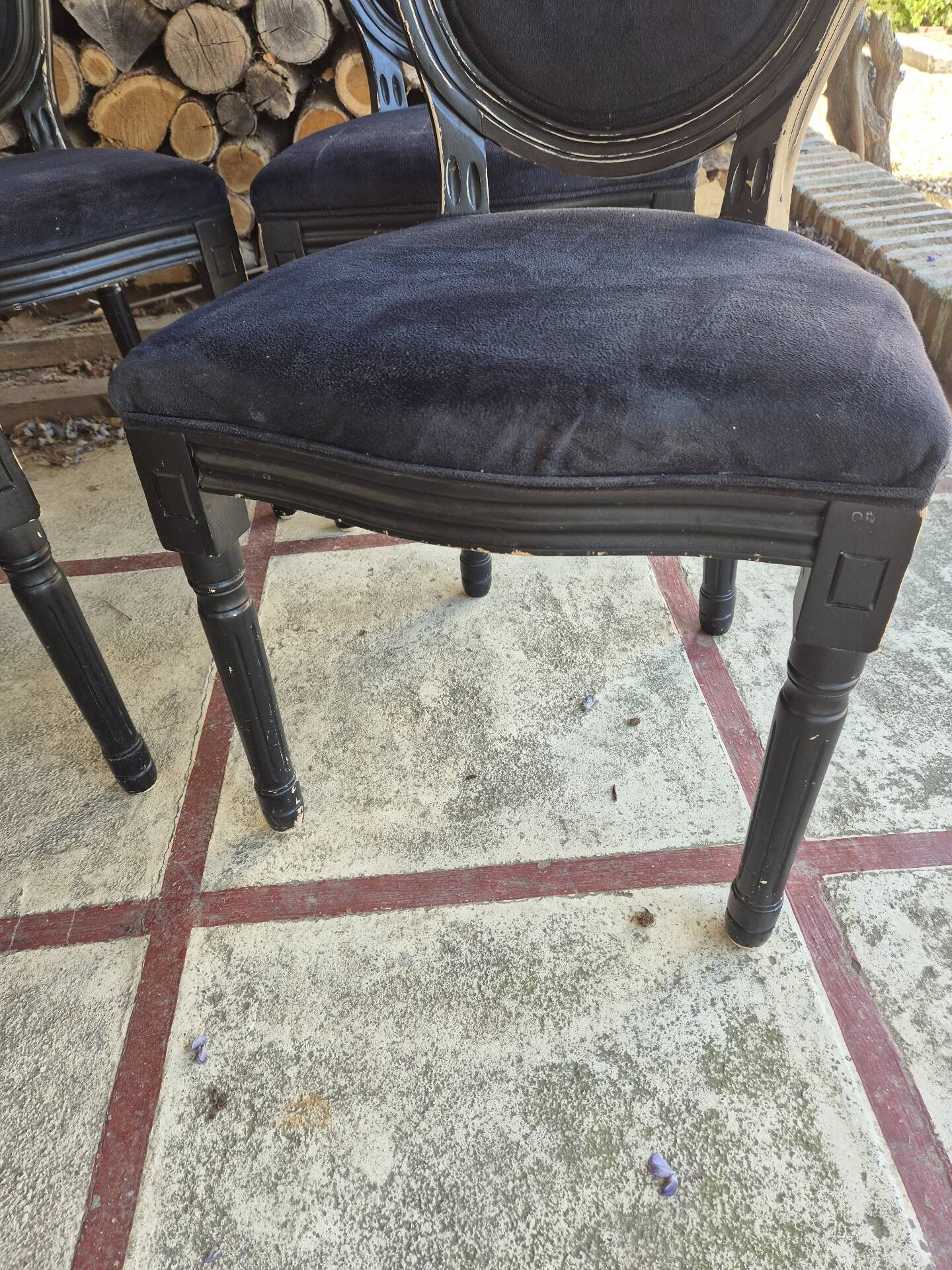 Louis XVI style medallion chairs