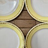 11 Luneville flat plates, Libourne model
