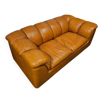 Rare two seater sofa Poltrona Frau, Italian design by Franco Bresciani, model Cocker, 1970s