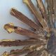 Golden wooden sun mirror 30cm