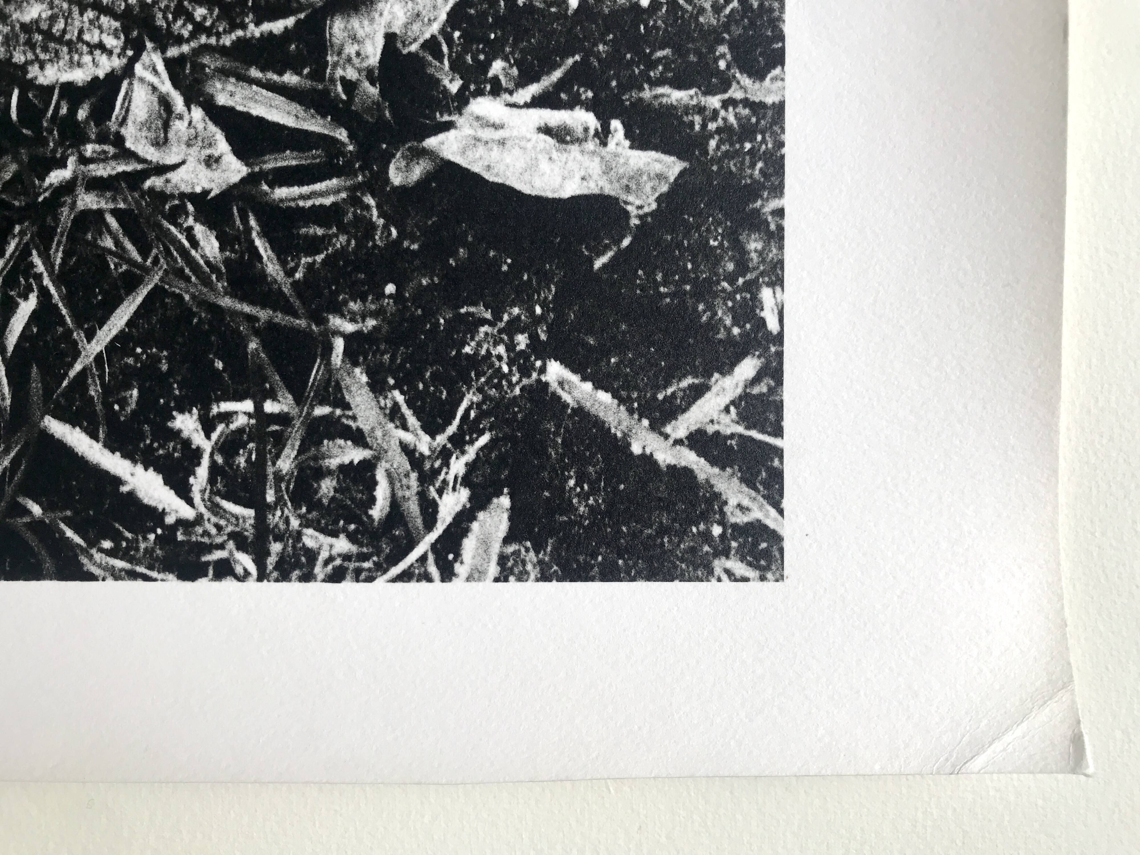Rosine nusimovici, frost, 1980. black and white silver print signed on the back