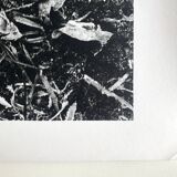 Rosine nusimovici, frost, 1980. black and white silver print signed on the back