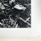 Rosine nusimovici, frost, 1980. black and white silver print signed on the back