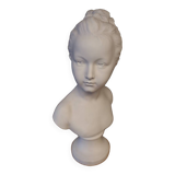 Biscuit bust