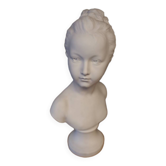 Biscuit bust