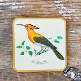 Box of 6 coasters bird motif