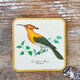 Box of 6 coasters bird motif