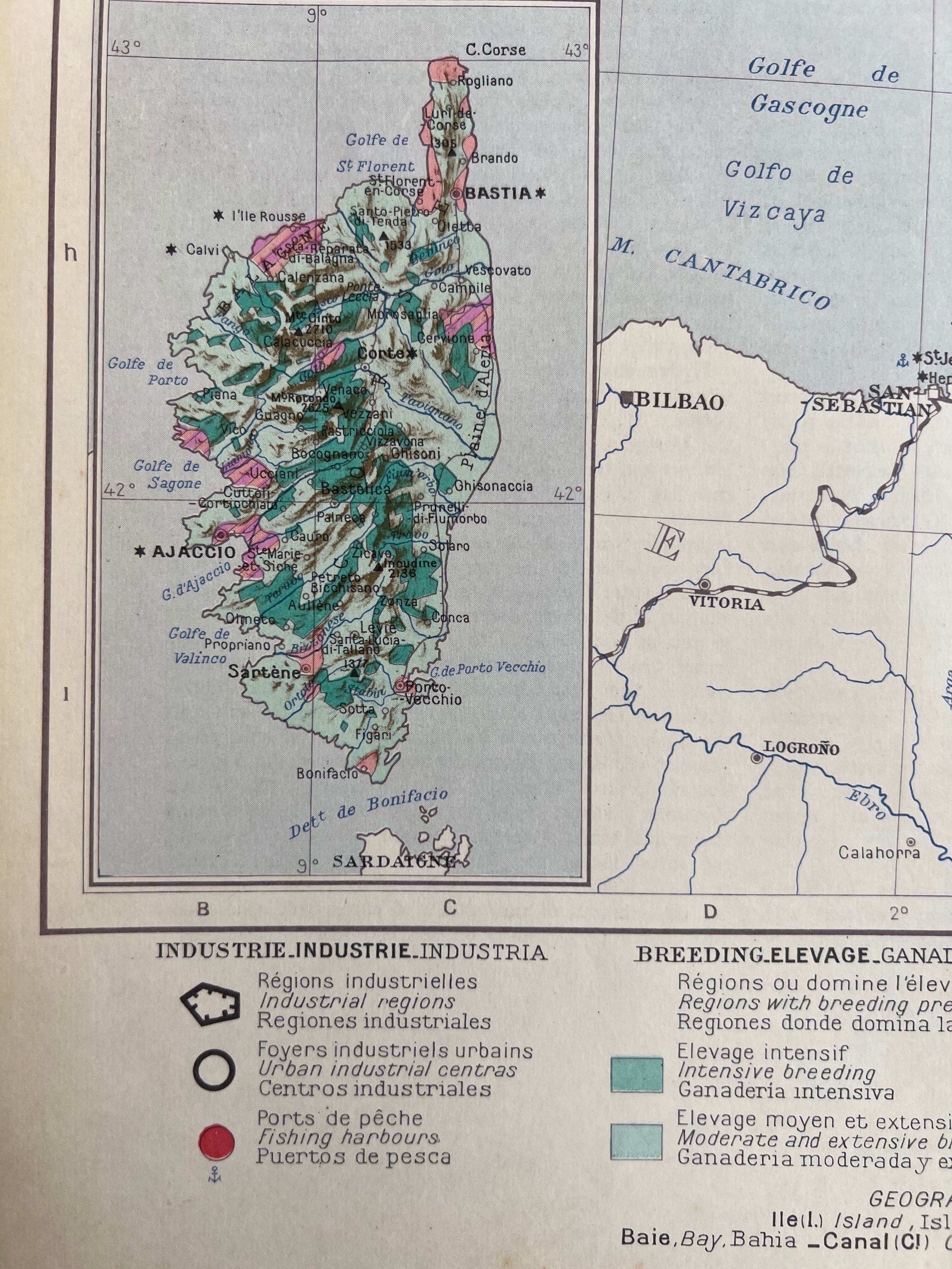 Old map of France Southern Part — Agricultural and Cultural Regions | V