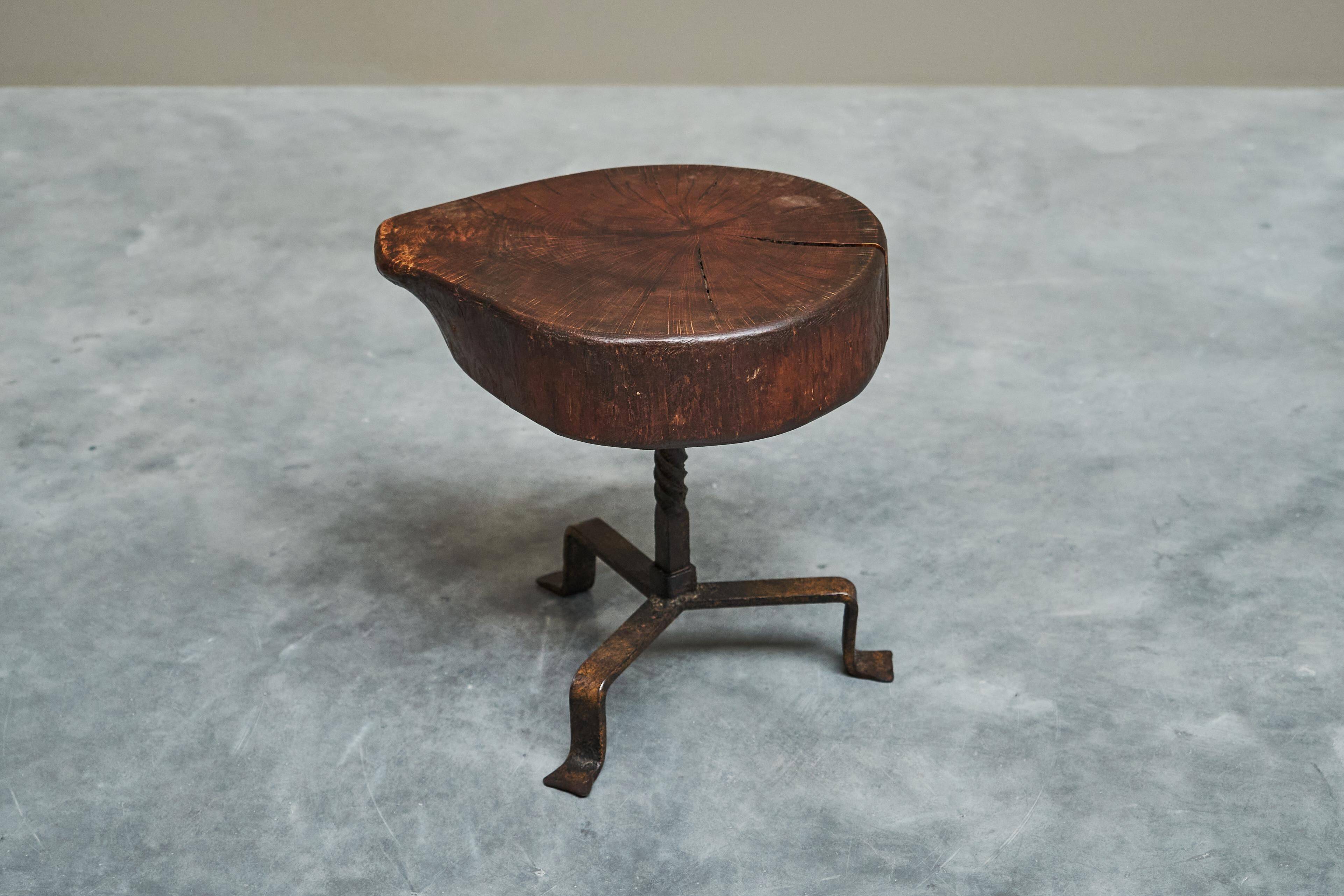 Tree Stump Stool or Solid Wood and Wrought Iron Side Table, Mid-Century