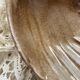 shell-shaped pocket tray in Italian ceramic Partenopee